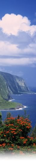  Cliffs and Coast, Hawaii 
