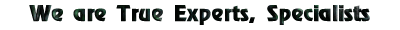  We are True Experts, Specialists