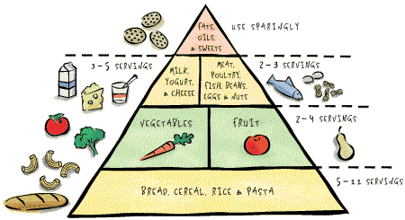 USDA Food Guide Pyramid