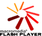  Macromedia Flash 